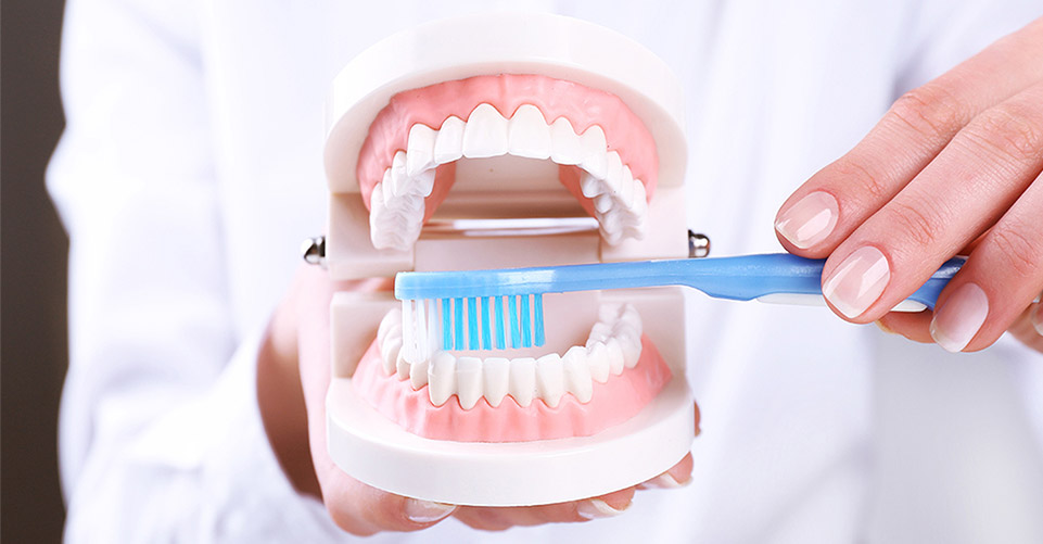 Clinica dental en Tudela Estudio de Ortodoncia