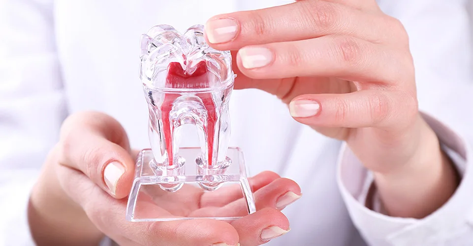 corona de diente mockupdental